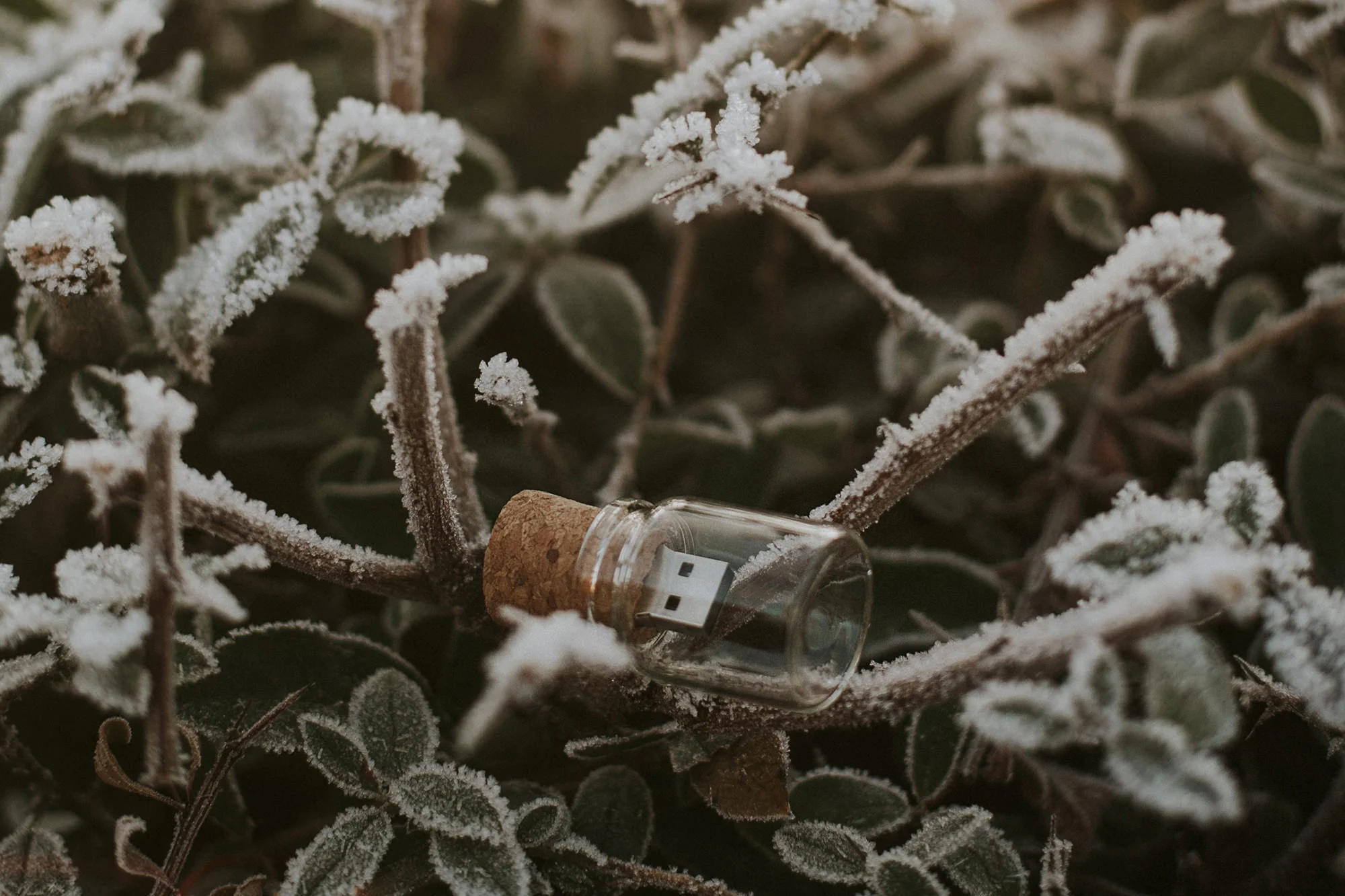 bottle usb from wooden banana